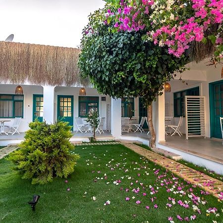 Avlu Otel Datca Εξωτερικό φωτογραφία